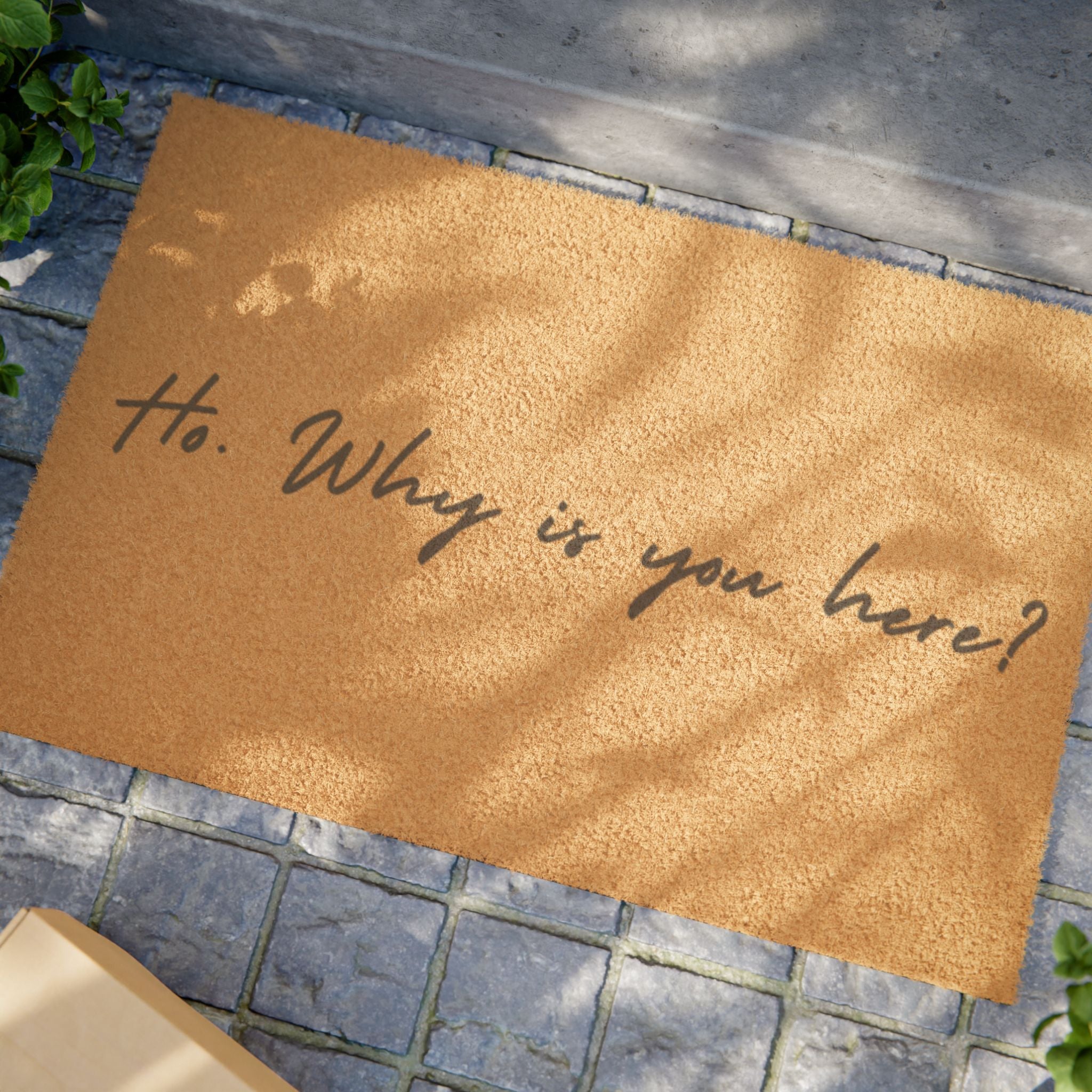 Doormat — “Hi. Why are you here?”